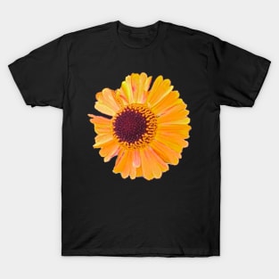 Short and sassy Helenium sneezeweed plant Bright orange yellow flower T-Shirt